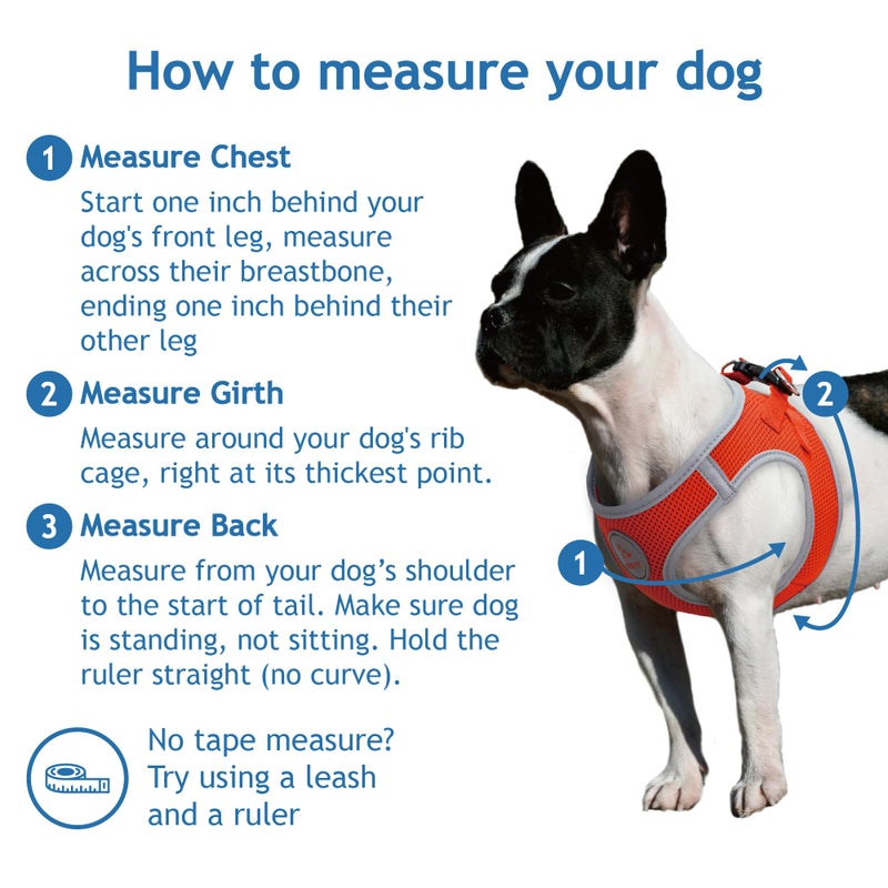 DOCO Dog Harness for Small Sized Dog - Athletica Adjustable, No Pull, No Choke, Puppy Vest Lightweight Air Mesh, Reflective, Puppy Essentials â€“ Turquoise, X-Small (Chest 13.5"-14.", Weight 4â€“6 lbs) - Image 2